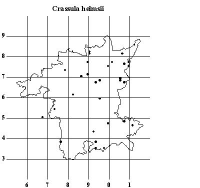 Crassula helmsii map