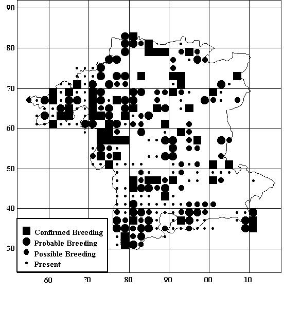 Buzzard distribution map