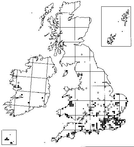 Jet Ant distribution