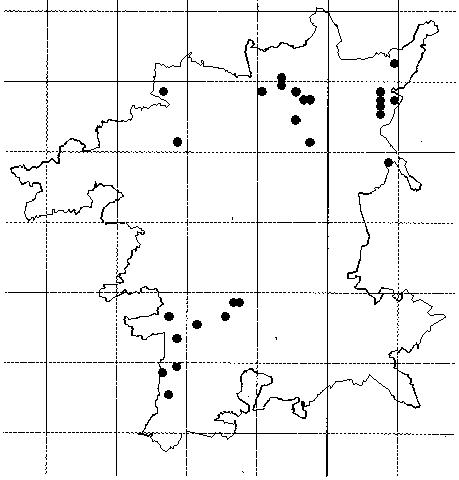 Ranunculus hederaceus map